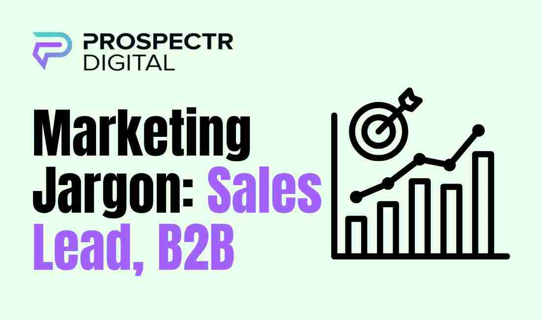 Marketing Jargon: Sales Lead, B2B, B2C, and Conversions