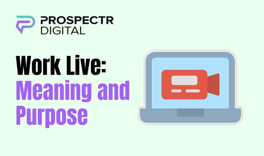Work Live: Meaning and Purpose